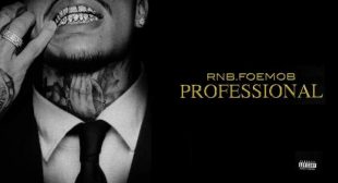 Lyrics of Professional Song