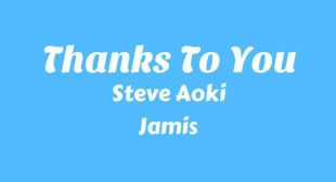 Thanks To You Lyrics – Steve Aoki