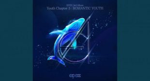 고래낙하 (Whale fall) (English Translation) Song Lyrics