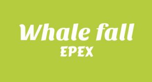 Lyrics of 고래낙하 (Whale fall) Song