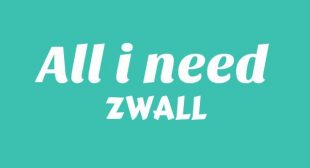All i need Lyrics – ZWALL