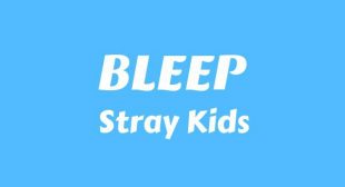삐처리 (BLEEP) Song Lyrics