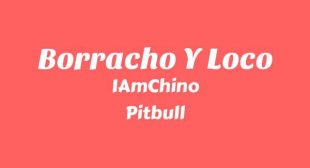 Borracho Y Loco Song Lyrics