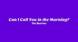 Lyrics of Can I Call You in the Morning? Song