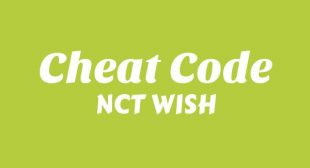 Lyrics of Cheat Code Song