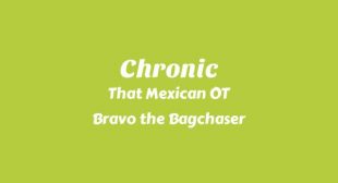 Lyrics of Chronic Song