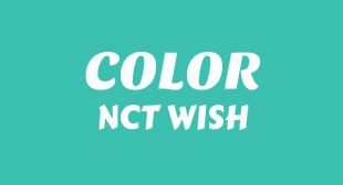 COLOR (English Translation) Song Lyrics