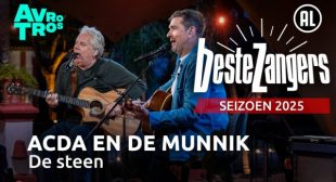 De Steen Song Lyrics