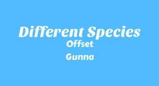 Lyrics of Different Species Song