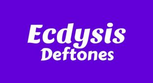 Ecdysis Lyrics