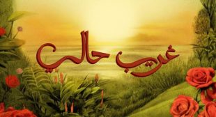 Lyrics of Ghareeb Haly – غريب حالي (English Translation) Song