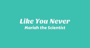 Lyrics of Like You Never Song