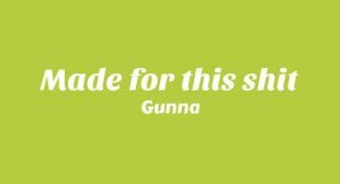 Lyrics of Made for this shit Song