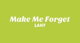 Lyrics of Make Me Forget Song