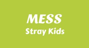 Lyrics of 엉망 (MESS) Song