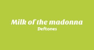 Milk of the madonna Lyrics