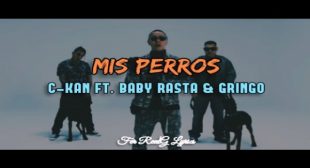 Mis perros (English Translation) Song Lyrics