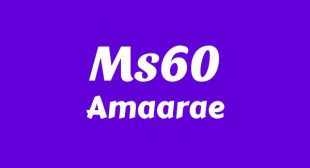 Lyrics of Ms60 Song