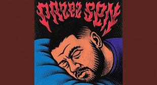 Lyrics of Przez sen Song