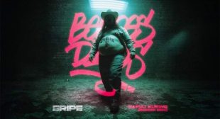 Lyrics of RAPUJ KURWO (BEDOES DISS) Song