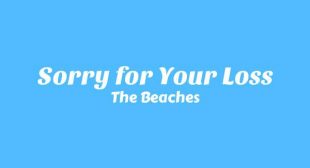 Sorry for Your Loss Lyrics