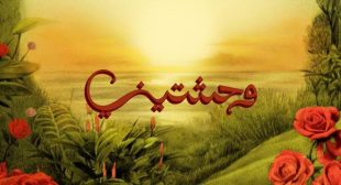 Lyrics of Shedeeny – شديني Song