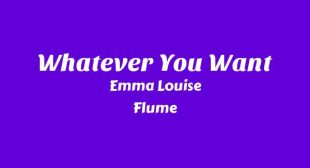 Lyrics of Whatever You Want Song