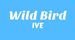 Wild Bird Song Lyrics
