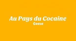 Au Pays du Cocaine Lyrics – Geese