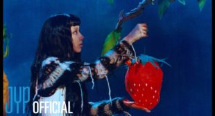 Lyrics of AVOCADO Song