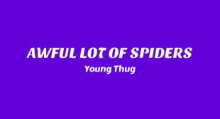 AWFUL LOT OF SPIDERS Lyrics – Young Thug