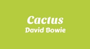 Lyrics of Cactus Song