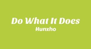 Lyrics of Do What It Does Song