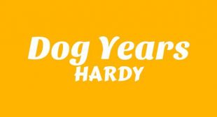 Dog Years Song Lyrics