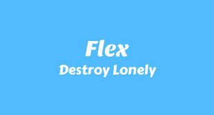 Lyrics of Flex Song
