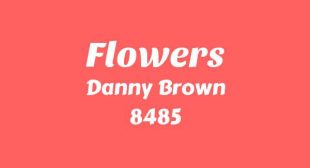 Flowers Song Lyrics