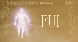 FUI (English Translation) Lyrics – MC Cabelinho