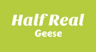 Lyrics of Half Real Song