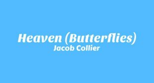 Lyrics of Heaven (Butterflies) Song