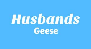 Husbands Song Lyrics