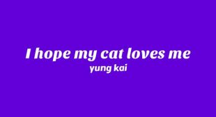 I Hope My Cat Loves Me Song Lyrics