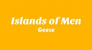 Islands of Men Lyrics – Geese
