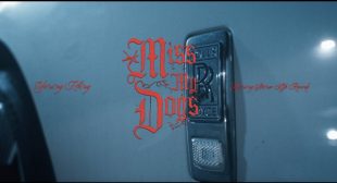Lyrics of Miss My Dogs Song