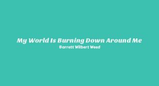 My World Is Burning Down Around Me Lyrics – Barrett Wilbert Weed