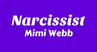 Narcissist Song Lyrics