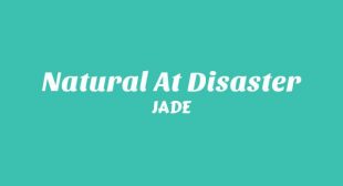 Natural At Disaster Lyrics