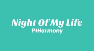 Night Of My Life Lyrics