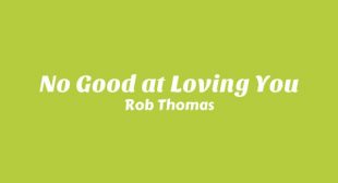 Lyrics of No Good at Loving You Song