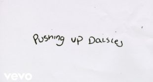 Lyrics of Pushing Up Daisies Song