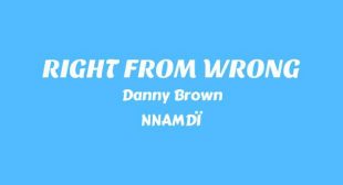 RIGHT FROM WRONG Lyrics – Danny Brown